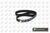 BGA TB9502 Timing Belt